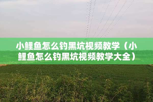 小鲤鱼怎么钓黑坑视频教学（小鲤鱼怎么钓黑坑视频教学大全）
