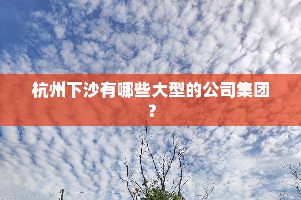 杭州下沙有哪些大型的公司集团？