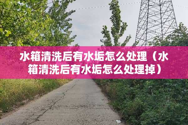 水箱清洗后有水垢怎么处理（水箱清洗后有水垢怎么处理掉）