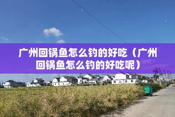 广州回锅鱼怎么钓的好吃（广州回锅鱼怎么钓的好吃呢）