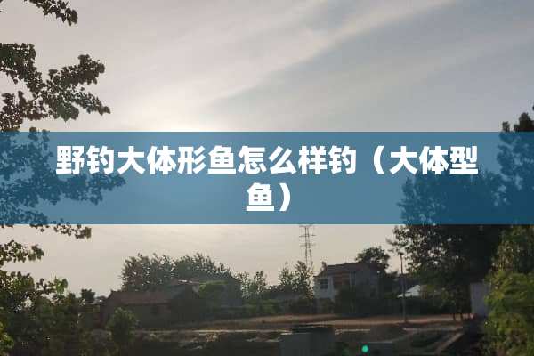 野钓大体形鱼怎么样钓（大体型鱼）