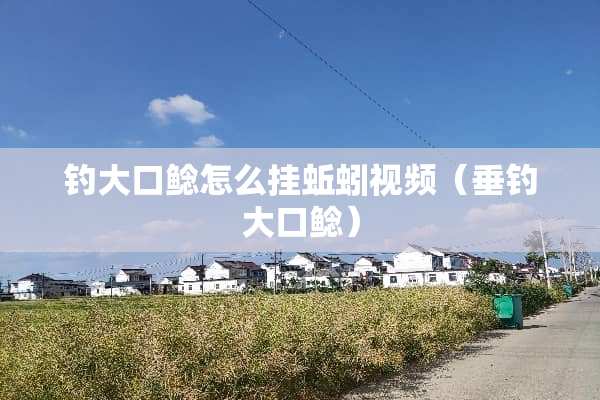钓大口鲶怎么挂蚯蚓视频（垂钓大口鲶）