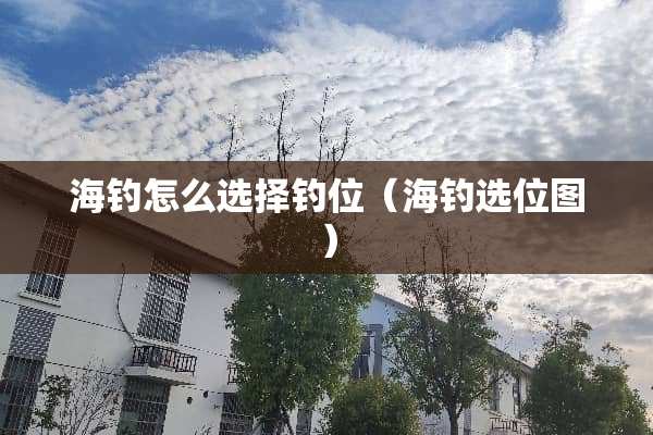 海钓怎么选择钓位（海钓选位图）