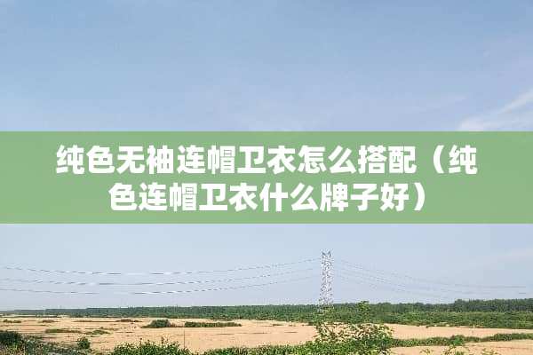 纯色无袖连帽卫衣怎么搭配（纯色连帽卫衣什么牌子好）