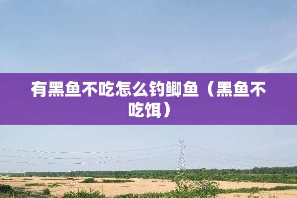 有黑鱼不吃怎么钓鲫鱼（黑鱼不吃饵）