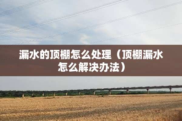 漏水的顶棚怎么处理（顶棚漏水怎么解决办法）