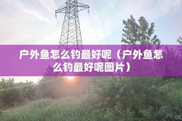 户外鱼怎么钓最好呢（户外鱼怎么钓最好呢图片）