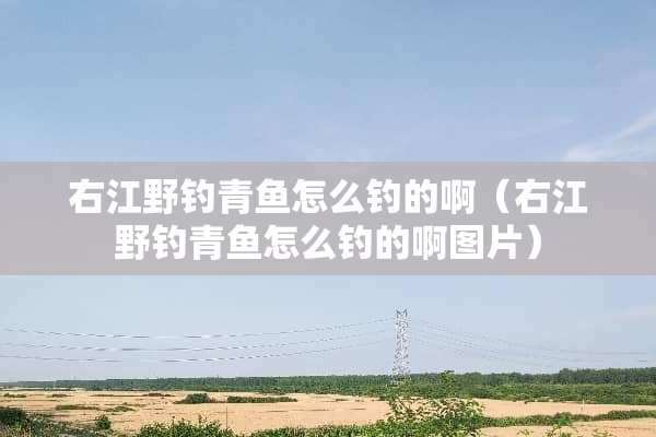 右江野钓青鱼怎么钓的啊（右江野钓青鱼怎么钓的啊图片）