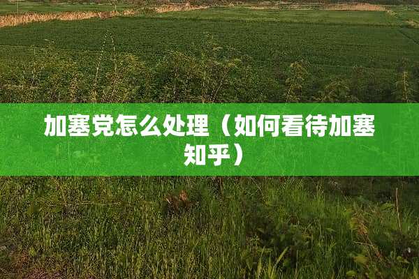 加塞*怎么处理（如何看待加塞 知乎）