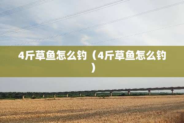 4斤草鱼怎么钓（4斤草鱼怎么钓）