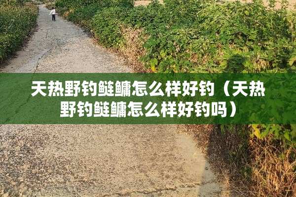 天热野钓鲢鳙怎么样好钓（天热野钓鲢鳙怎么样好钓吗）