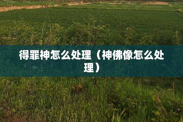 得罪神怎么处理（**像怎么处理）