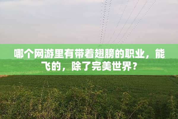 哪个网游里有带着翅膀的职业，能飞的，除了完美世界？
