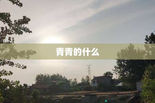 青青的什么