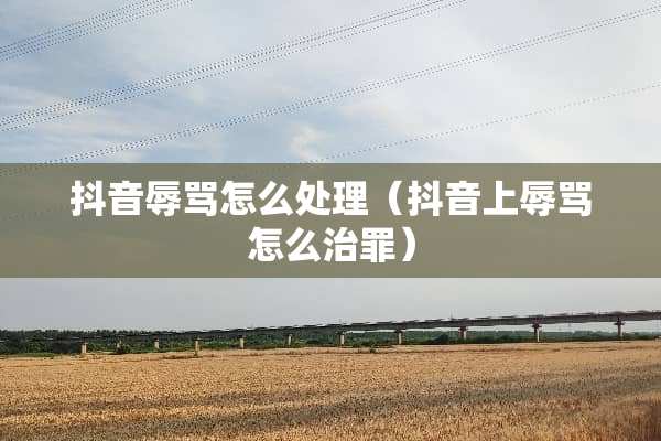 抖音辱骂怎么处理（抖音上辱骂怎么治罪）