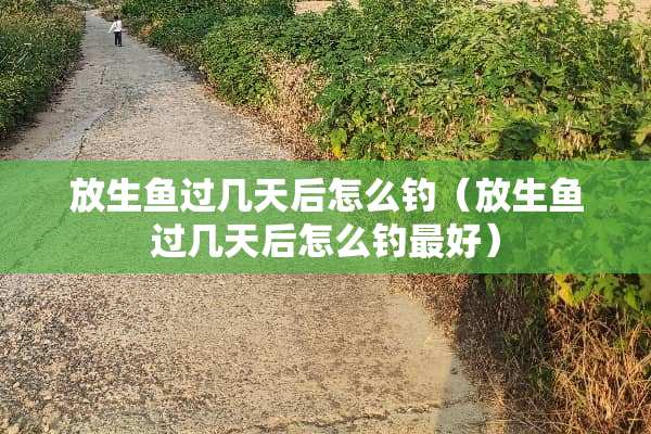 放生鱼过几天后怎么钓（放生鱼过几天后怎么钓最好）