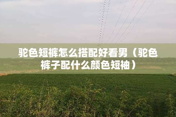 驼色短裤怎么搭配好看男（驼色裤子配什么颜色短袖）