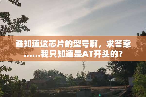 谁知道这芯片的型号啊，求答案……我只知道是AT开头的？