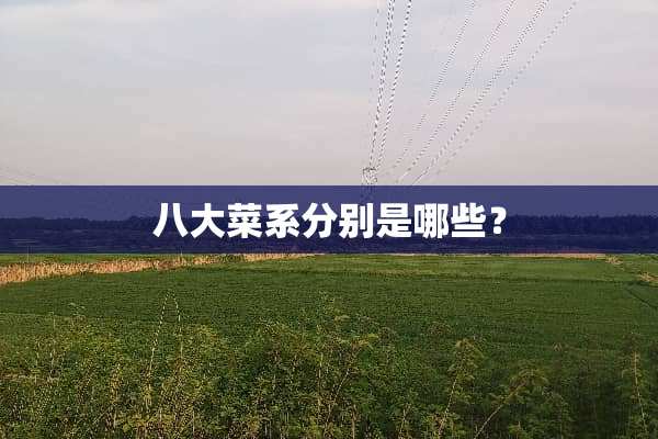 八大菜系分别是哪些？