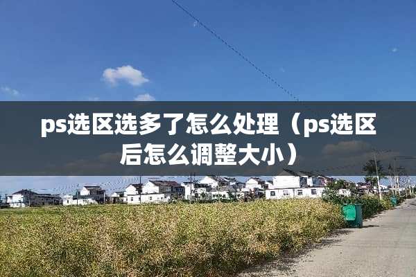 ps选区选多了怎么处理（ps选区后怎么调整大小）