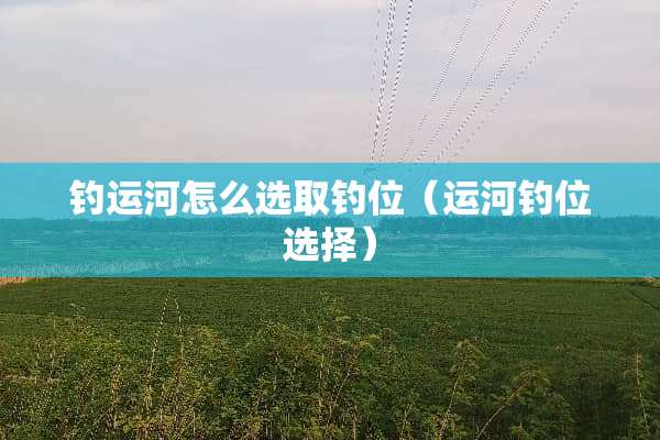 钓运河怎么选取钓位（运河钓位选择）