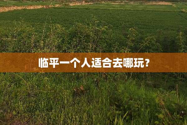 临平一个人适合去哪玩？