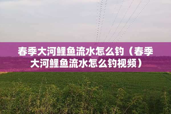 春季大河鲤鱼流水怎么钓（春季大河鲤鱼流水怎么钓视频）