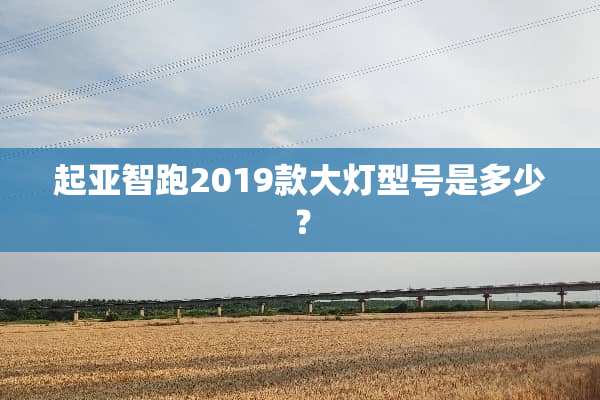 起亚智跑2019款大灯型号是多少？