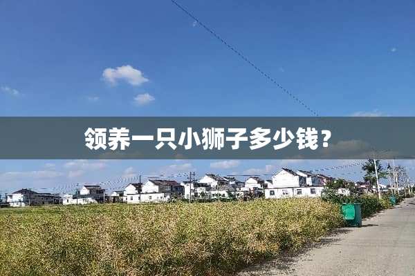 领养一只小狮子多少钱？