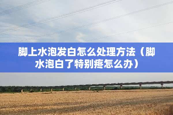 脚上水泡发白怎么处理方法（脚水泡白了特别疼怎么办）
