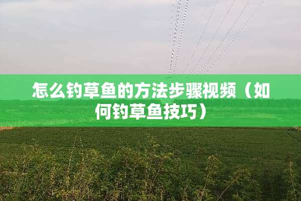 怎么钓草鱼的方法步骤视频（如何钓草鱼技巧）