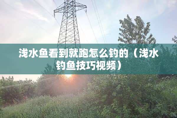 浅水鱼看到就跑怎么钓的（浅水钓鱼技巧视频）