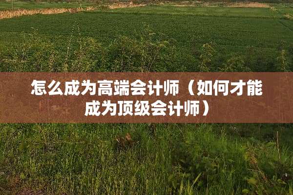 怎么成为高端会计师（如何才能成为**会计师）