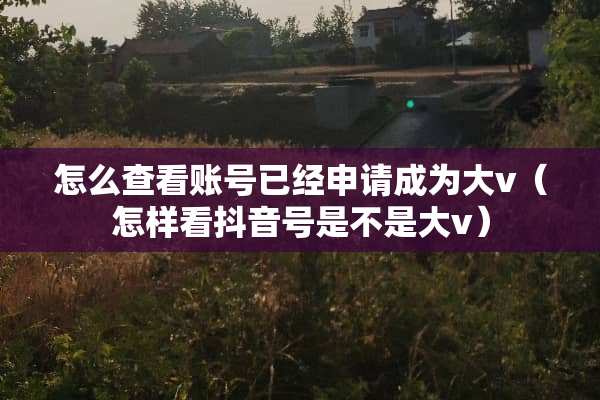 怎么查看账号已经申请成为大v（怎样看抖音号是不是大v）