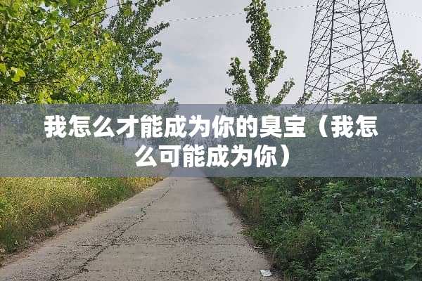 我怎么才能成为你的臭宝（我怎么可能成为你）