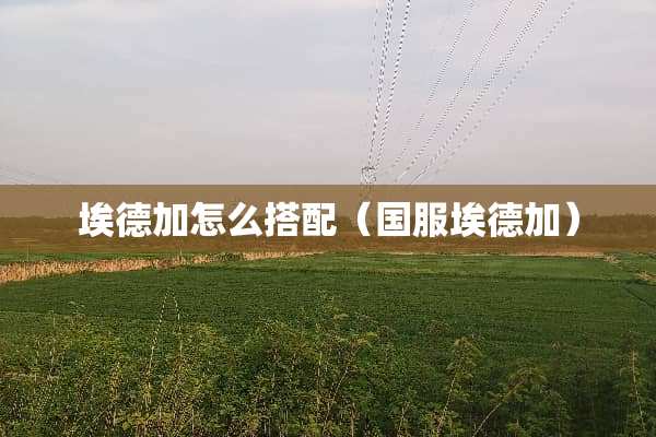 埃德加怎么搭配（国服埃德加）