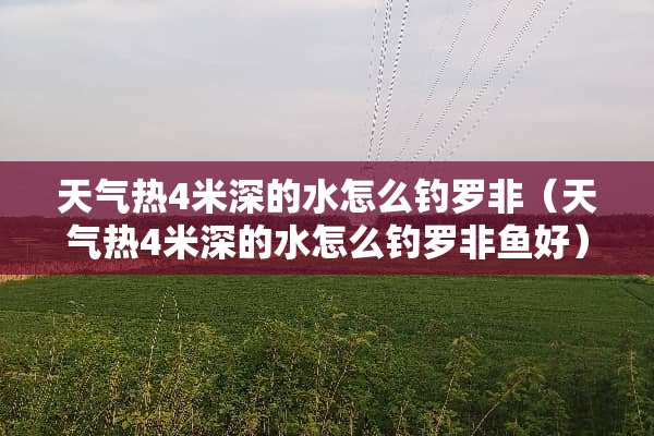 天气热4米深的水怎么钓罗非（天气热4米深的水怎么钓罗非鱼好）