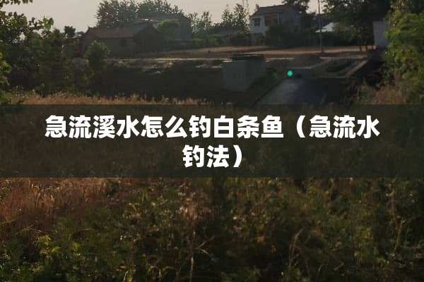 急流溪水怎么钓白条鱼（急流水钓法）