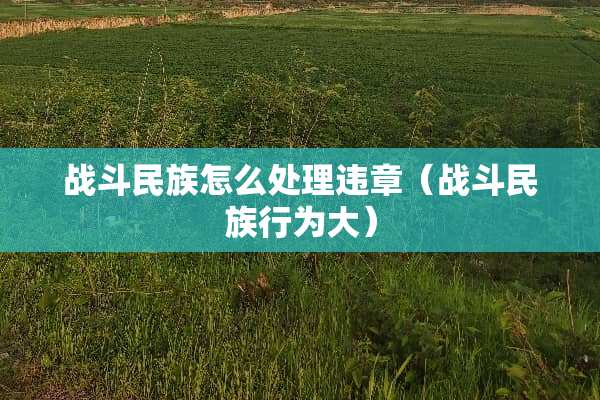战斗民族怎么处理违章（战斗民族行为大）
