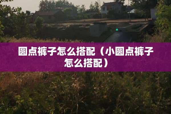 圆点裤子怎么搭配（小圆点裤子怎么搭配）