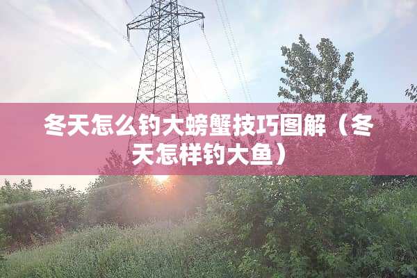 冬天怎么钓大螃蟹技巧图解（冬天怎样钓大鱼）