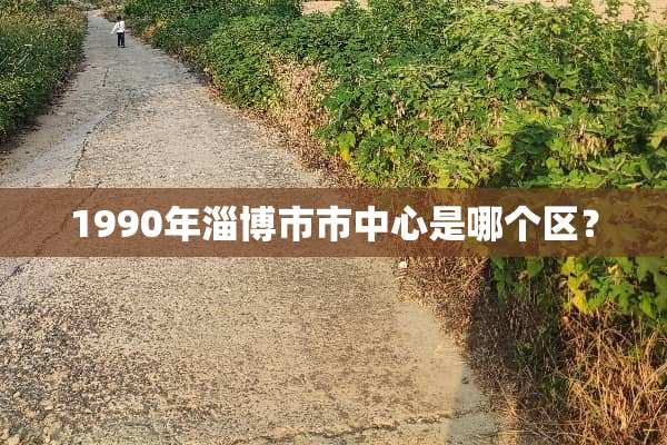 1990年淄博市市中心是哪个区？
