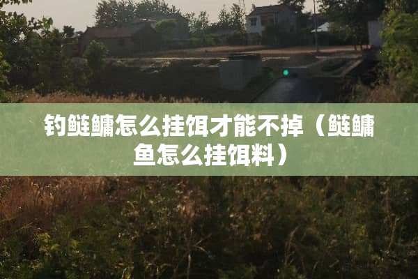 钓鲢鳙怎么挂饵才能不掉（鲢鳙鱼怎么挂饵料）