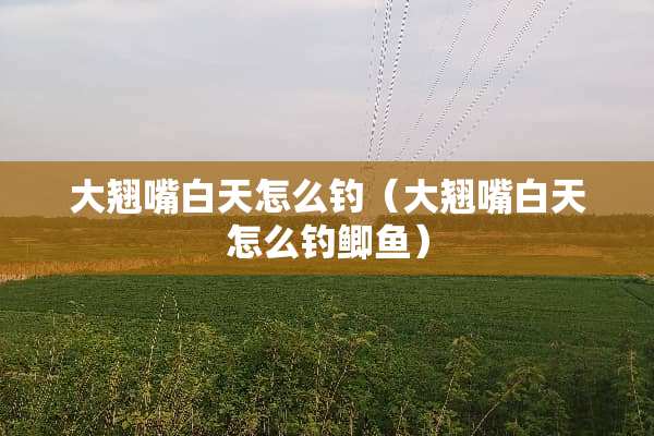 大翘嘴白天怎么钓（大翘嘴白天怎么钓鲫鱼）