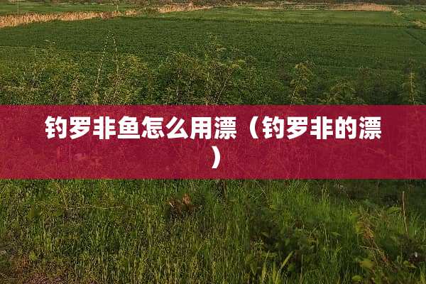 钓罗非鱼怎么用漂（钓罗非的漂）