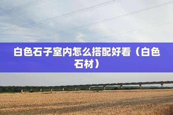 白色石子室内怎么搭配好看（白色石材）