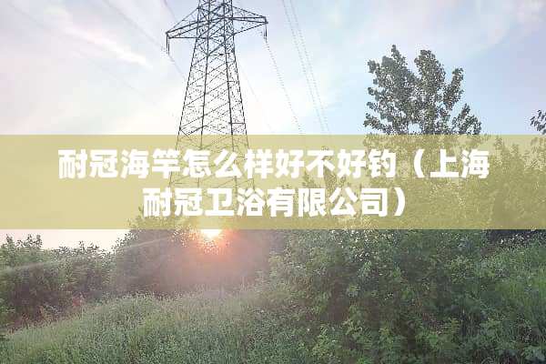 耐冠海竿怎么样好不好钓（上海耐冠卫浴有限公司）