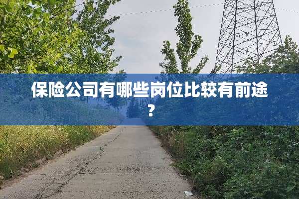 保险公司有哪些岗位比较有前途？