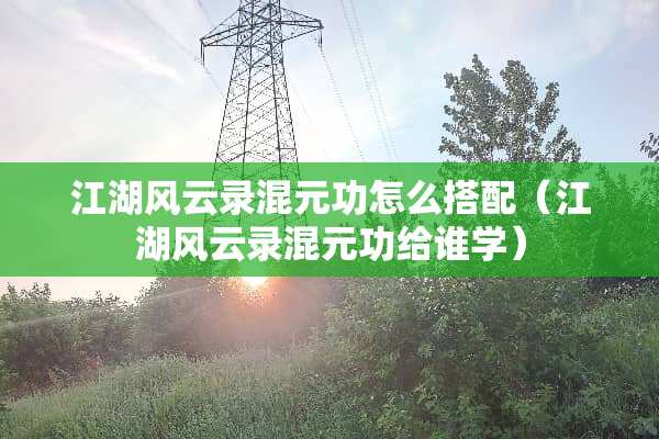 江湖风云录混元功怎么搭配（江湖风云录混元功给谁学）