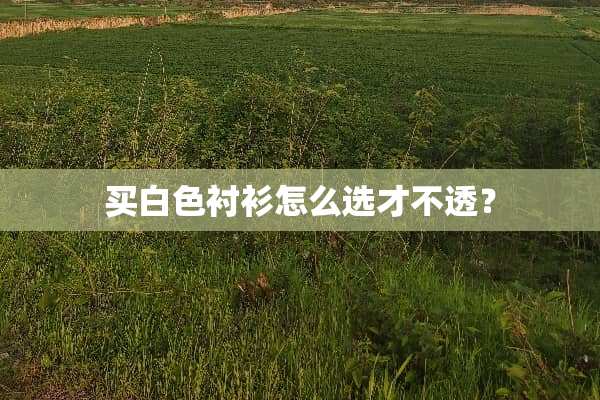 买白色衬衫怎么选才不透？